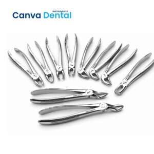 Tooth Forceps